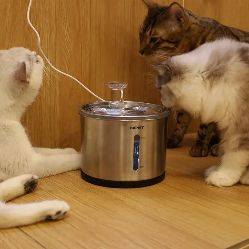 NPET 54Oz Stainless Steel Cat Water Fountain with LED Lights & Filters - Perfect for Indoor Cats!