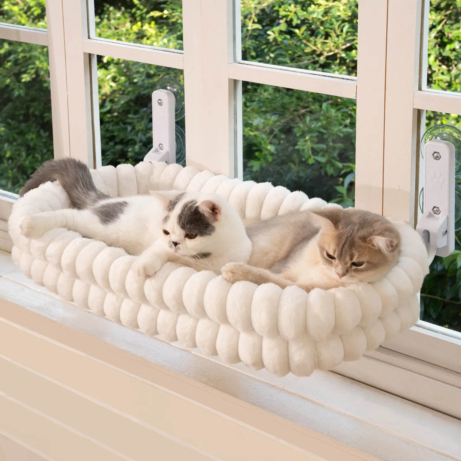 Folding Cat Hammock for Windows - Cordless, Machine Washable Bed with Durable Metal Frame and Strong Suction Cups, Ideal Perch for Cats and Small Dogs