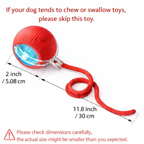Mizusu Interactive Cat and Dog Teaser Toy with Two Extra Tails - Kitten Rolling Ball Toy and Pet Supplies for Dogs and Cats
